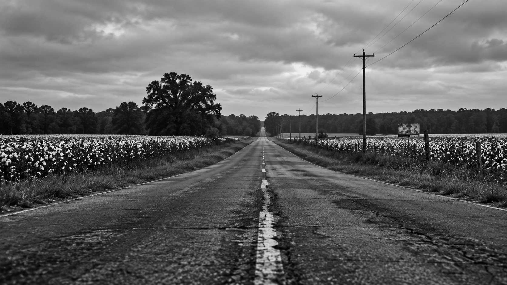 A two-lane road running between cotton fields under an overcast sky